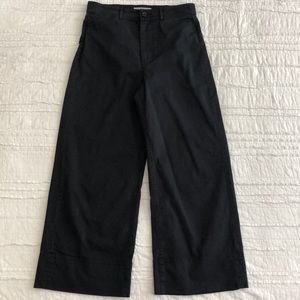 Everlane Wide Leg Crop Chinos